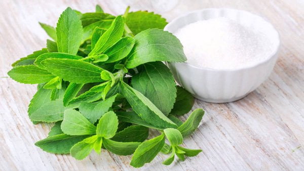 Stevia: el edulcorante natural que no tiene calorías