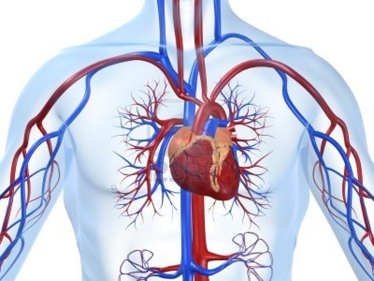 Conozca su riesgo cardiovascular