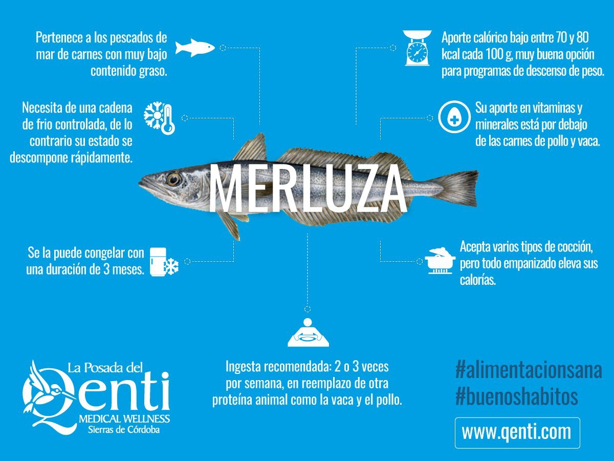 infografia-merluza