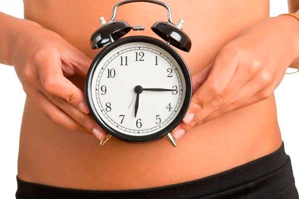 Metabolismo: un proceso vital